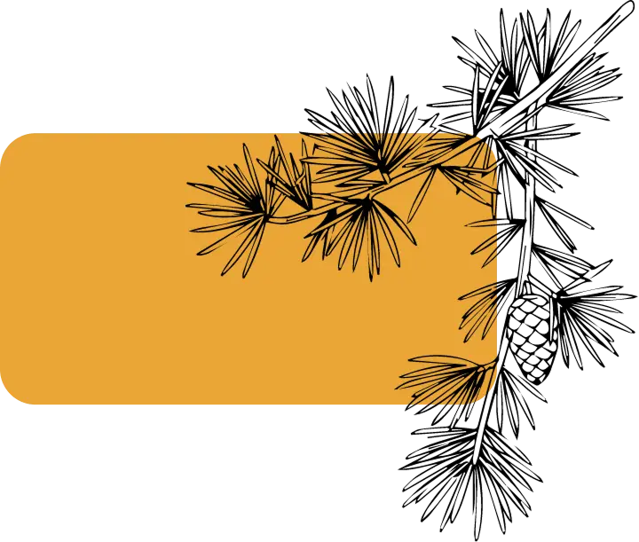 Branche pins