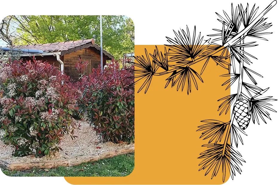 Entrée du camping Mayan-Montalivet en Gironde