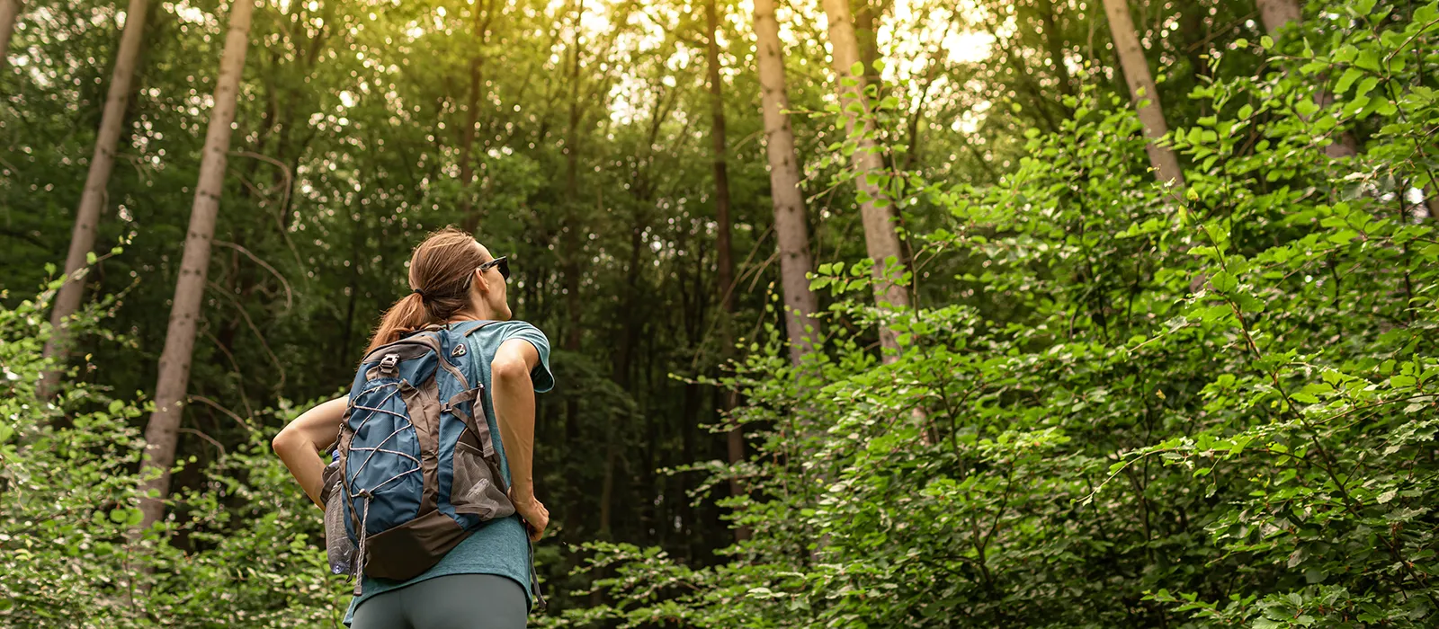 Au Camping Mayan-Montalivet, vivez le Médoc version grand air : forêt à 5 minutes