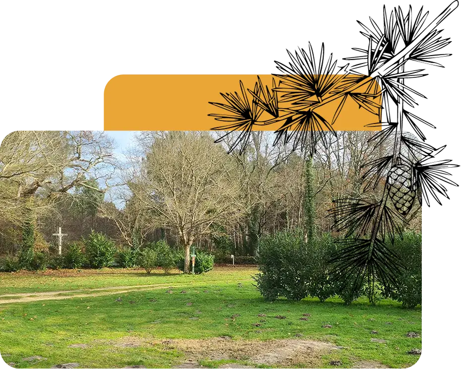 Les emplacements camping pour tente du camping Mayan-Montalivet en Gironde vous accueillent dans un écrin de verdure préservé