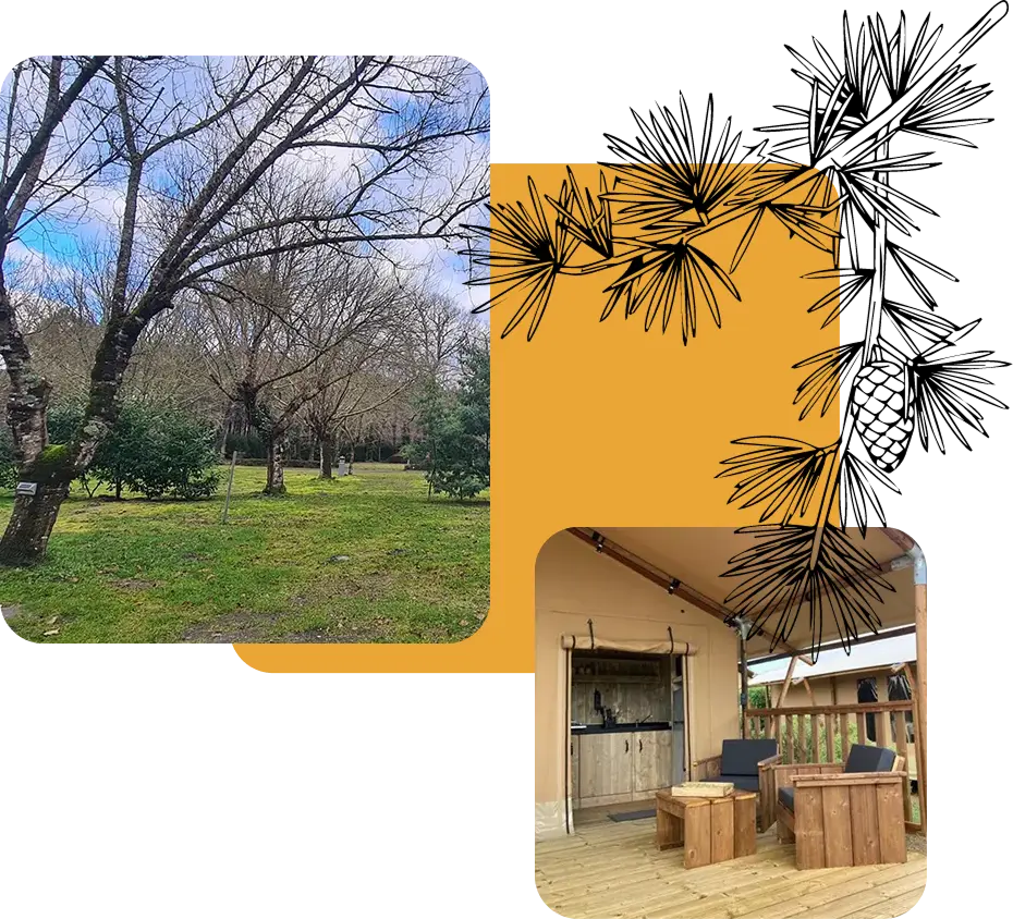 Emplacement camping et Wood-Logde