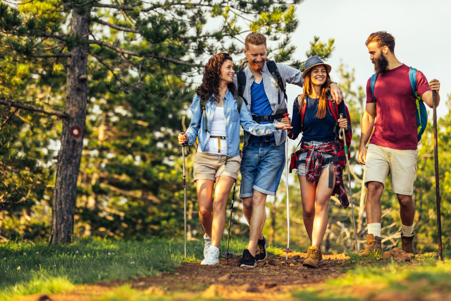 Emplacement camping et Wood-Logde