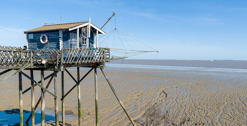 Le camping Mayan-Montalivet, camping nature en Gironde est situé aux alentours des plages