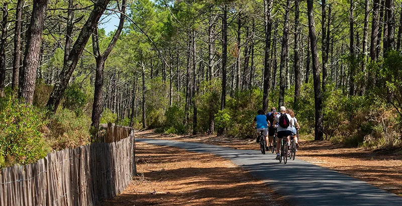 Camping Mayan-Montalivet : balades en vélo sous les pins, en Gironde