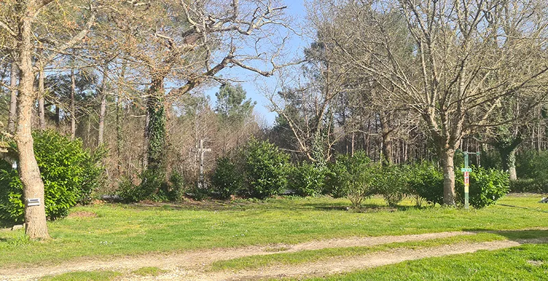 Emplacements camping du camping Mayan-Montalivet, camping nature en Gironde
