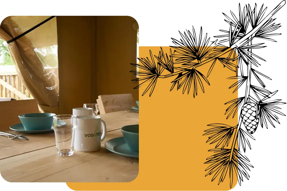 Lodge Safari intérieur, hébergement insolite en Gironde du camping Vendays Montalivet