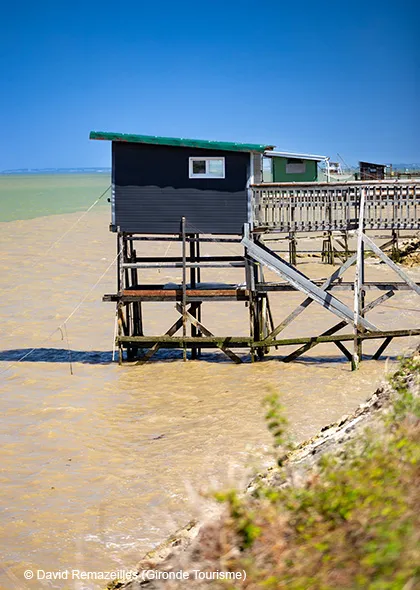 Mattes du Cheyzin en Gironde