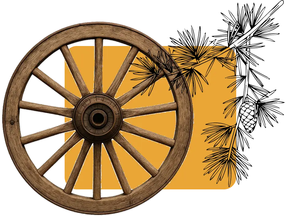 roue Roulotte