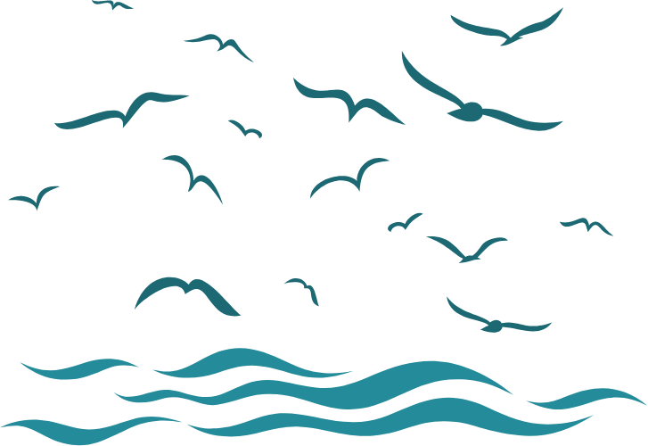 Vagues mouettes